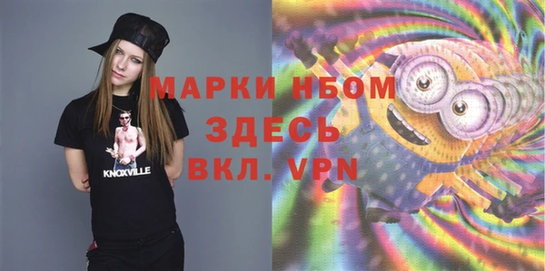 крисы Аркадак