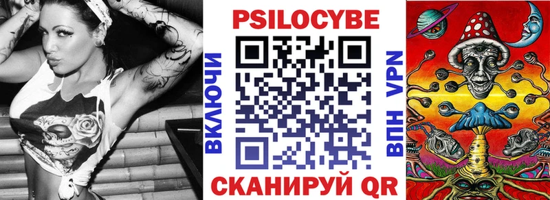 Купить закладки  Новомичуринск  Галлюциногенные грибы прущие грибы 