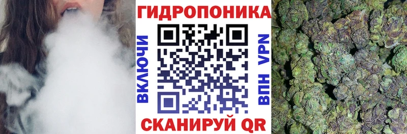 Купить закладки  Новомичуринск  Бошки марихуана план 